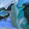IMG_6363 Atol 40x30cm