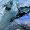 IMG_6374 Atol 40x30cm